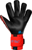 Reusch Attrakt Gold X Evolution Cut 5370964 3333 schwarz rot back